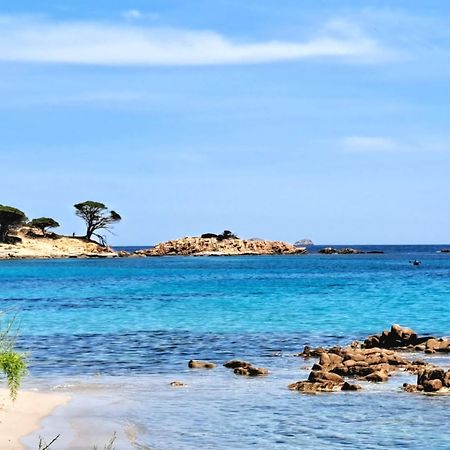Le Berceau D'Asciaghju Palombaggia - Acces Plage Et Piscine Privee Porto-Vecchio  Extérieur photo